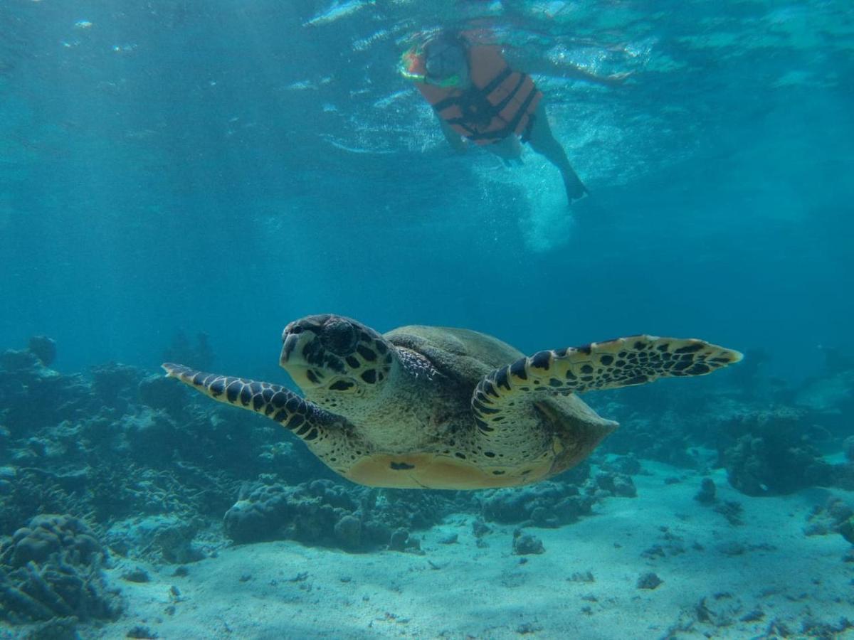 ホテル Chambao Maldives グライドゥ エクステリア 写真