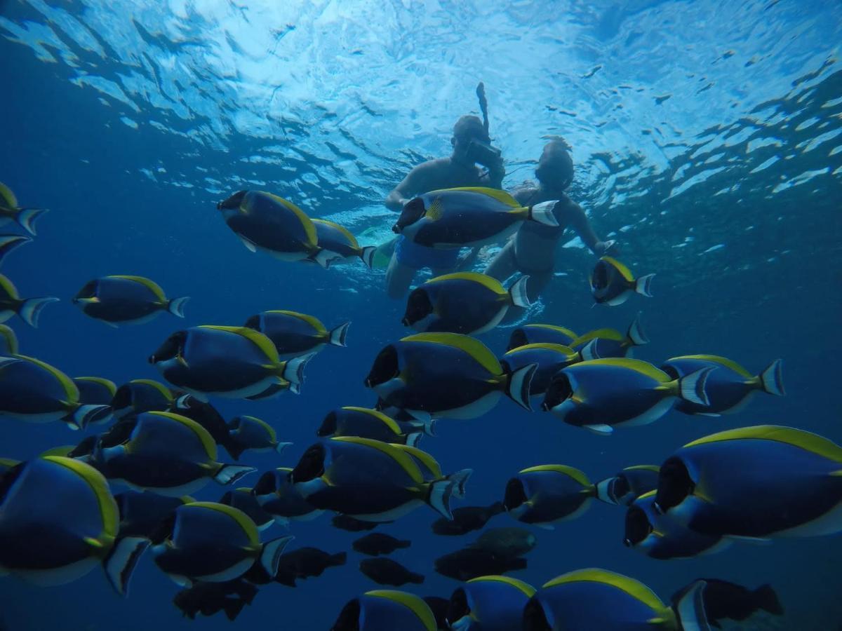 ホテル Chambao Maldives グライドゥ エクステリア 写真