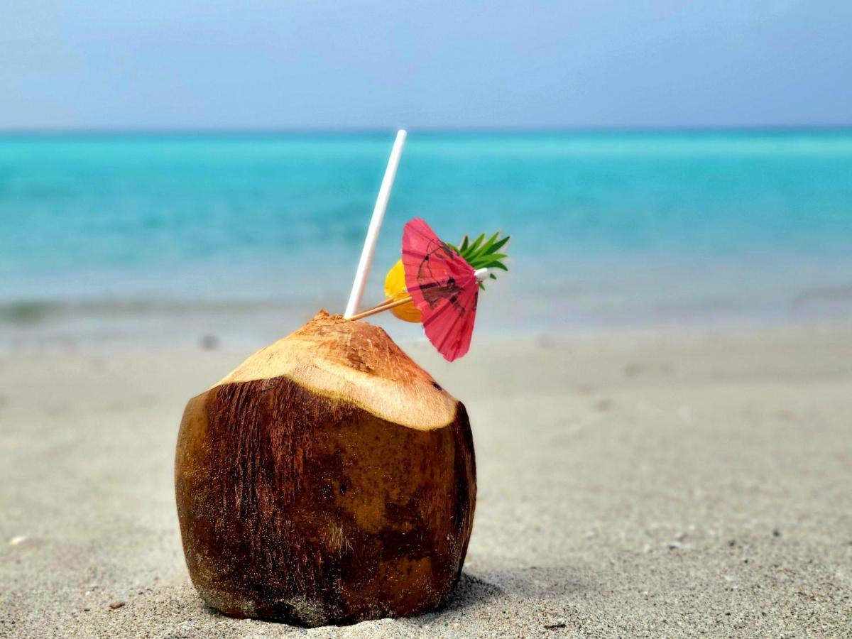 ホテル Chambao Maldives グライドゥ エクステリア 写真