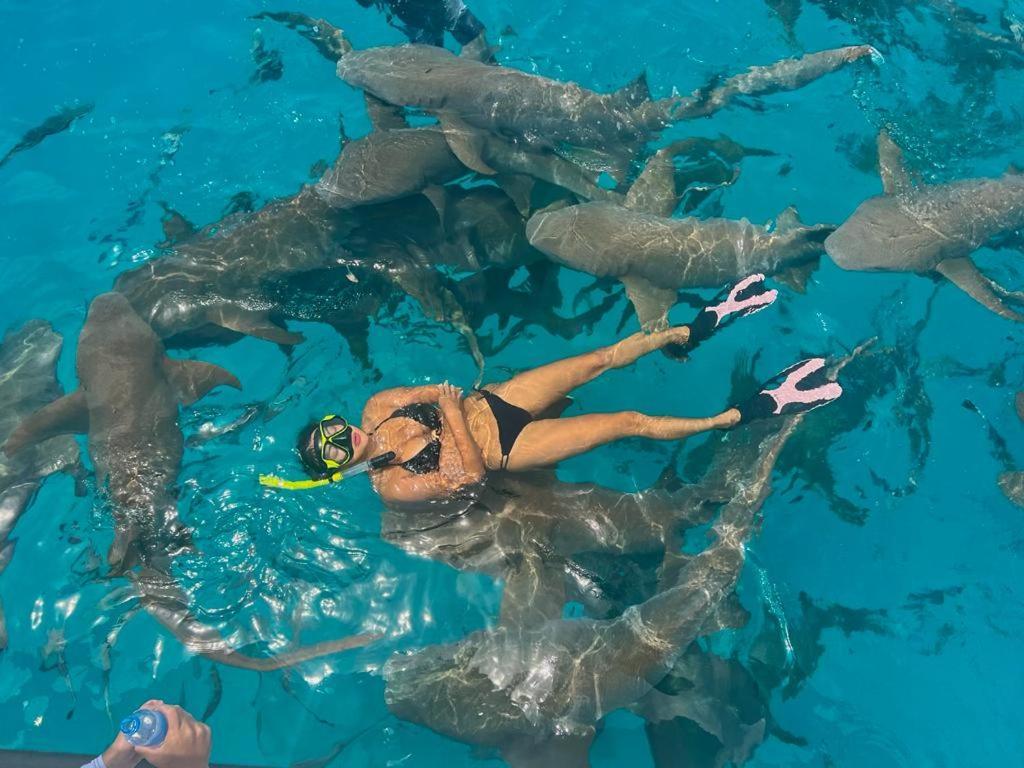 ホテル Chambao Maldives グライドゥ エクステリア 写真