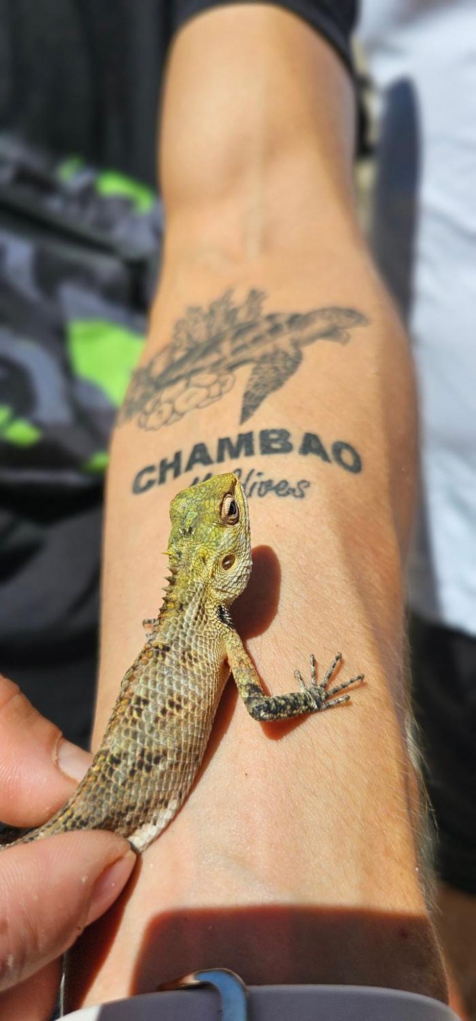 ホテル Chambao Maldives グライドゥ エクステリア 写真